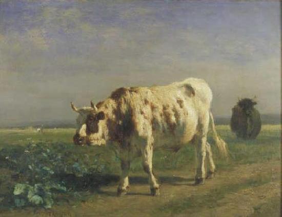 constant troyon The white bull. oil painting picture